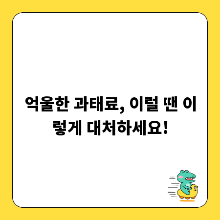 억울한 과태료, 이럴 땐 이렇게 대처하세요!