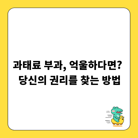 과태료 부과, 억울하다면? 당신의 권리를 찾는 방법