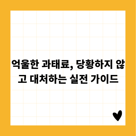 억울한 과태료, 당황하지 않고 대처하는 실전 가이드