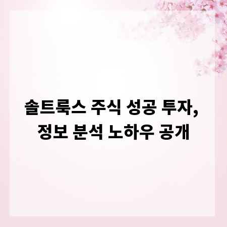 솔트룩스 주식 성공 투자, 정보 분석 노하우 공개