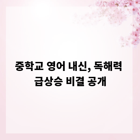 중학교 영어 내신, 독해력 급상승 비결 공개