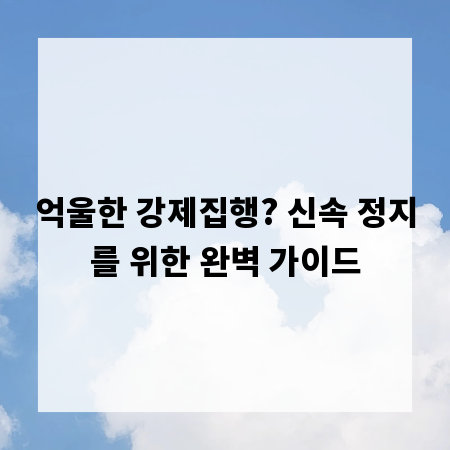 억울한 강제집행? 신속 정지를 위한 완벽 가이드