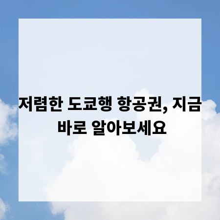 저렴한 도쿄행 항공권, 지금 바로 알아보세요
