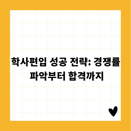 학사편입 성공 전략: 경쟁률 파악부터 합격까지