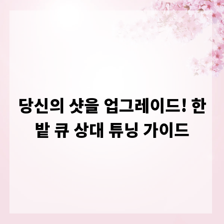당신의 샷을 업그레이드! 한밭 큐 상대 튜닝 가이드