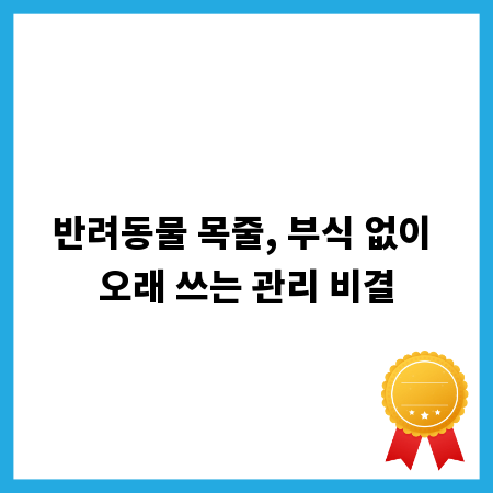 반려동물 목줄, 부식 없이 오래 쓰는 관리 비결