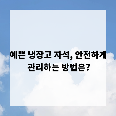 예쁜 냉장고 자석, 안전하게 관리하는 방법은?