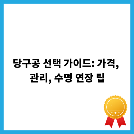 당구공 선택 가이드: 가격, 관리, 수명 연장 팁