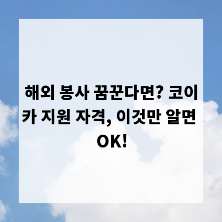 해외 봉사 꿈꾼다면? 코이카 지원 자격, 이것만 알면 OK!