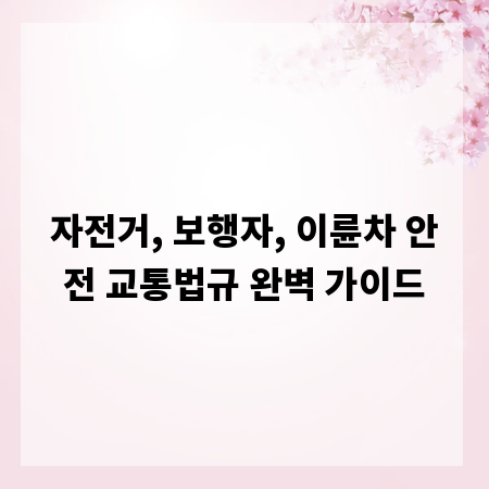 자전거, 보행자, 이륜차 안전 교통법규 완벽 가이드