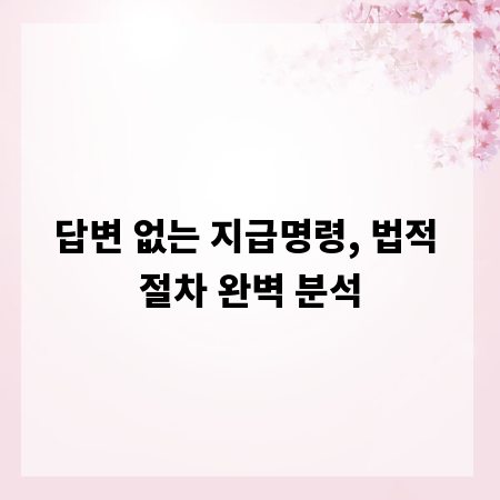 답변 없는 지급명령, 법적 절차 완벽 분석
