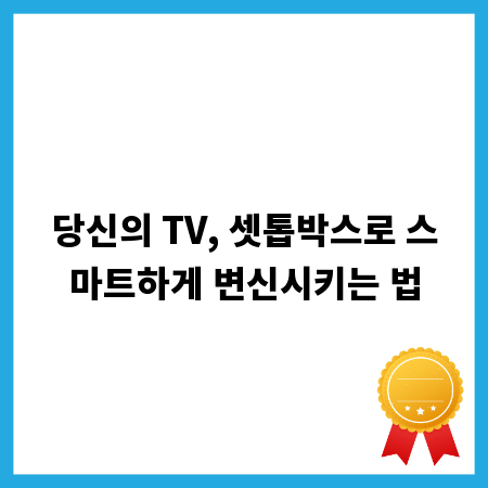 당신의 TV, 셋톱박스로 스마트하게 변신시키는 법