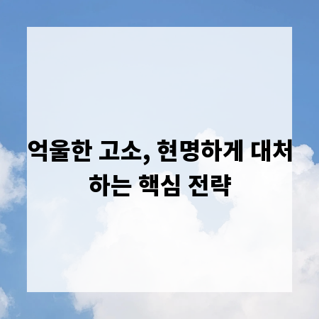 억울한 고소, 현명하게 대처하는 핵심 전략