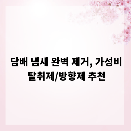 담배 냄새 완벽 제거, 가성비 탈취제/방향제 추천
