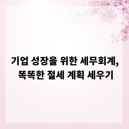 기업 성장을 위한 세무회계, 똑똑한 절세 계획 세우기
