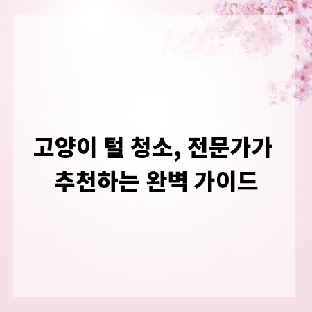 고양이 털 청소, 전문가가 추천하는 완벽 가이드