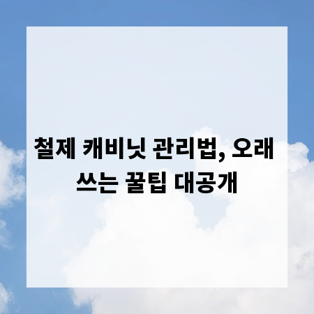 철제 캐비닛 관리법, 오래 쓰는 꿀팁 대공개