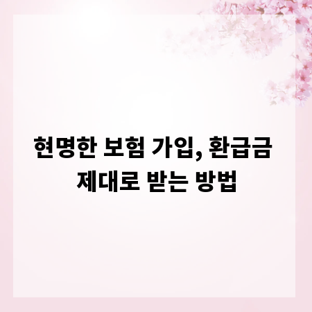 현명한 보험 가입, 환급금 제대로 받는 방법