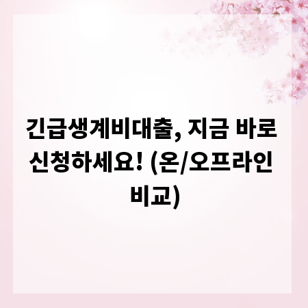 긴급생계비대출, 지금 바로 신청하세요! (온/오프라인 비교)
