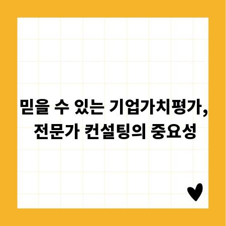 믿을 수 있는 기업가치평가, 전문가 컨설팅의 중요성