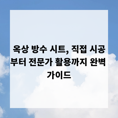 옥상 방수 시트, 직접 시공부터 전문가 활용까지 완벽 가이드