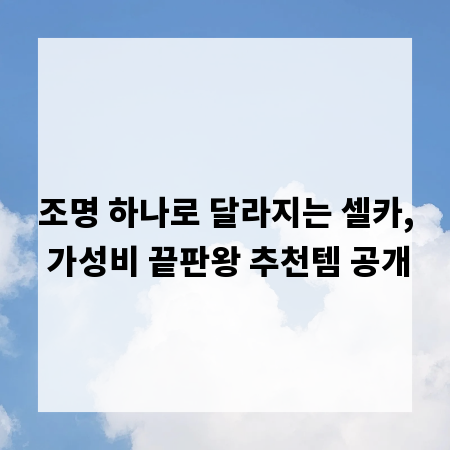 조명 하나로 달라지는 셀카, 가성비 끝판왕 추천템 공개