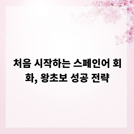 처음 시작하는 스페인어 회화, 왕초보 성공 전략