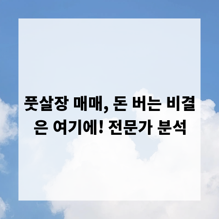 풋살장 매매, 돈 버는 비결은 여기에! 전문가 분석