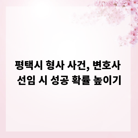 평택시 형사 사건, 변호사 선임 시 성공 확률 높이기