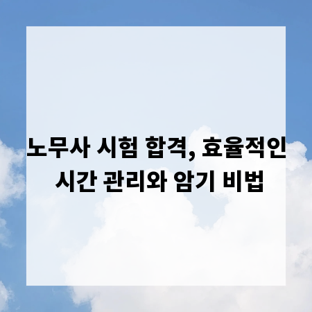 노무사 시험 합격, 효율적인 시간 관리와 암기 비법