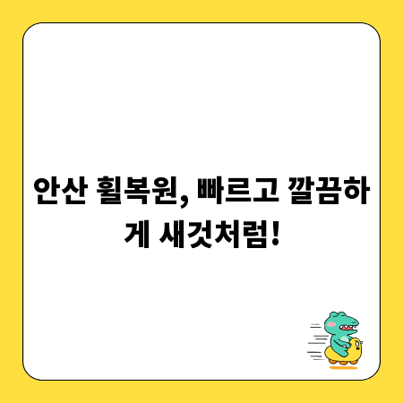 다양한 행사 의자 종류와 특징, 당신의 선택은?
