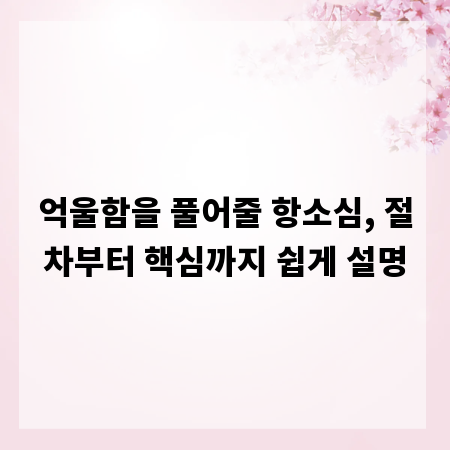 억울함을 풀어줄 항소심, 절차부터 핵심까지 쉽게 설명