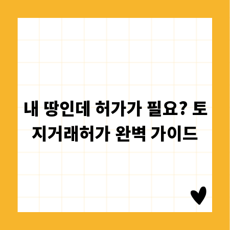 내 땅인데 허가가 필요? 토지거래허가 완벽 가이드