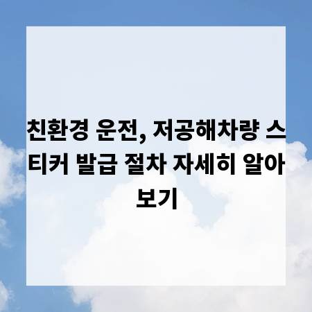 친환경 운전, 저공해차량 스티커 발급 절차 자세히 알아보기