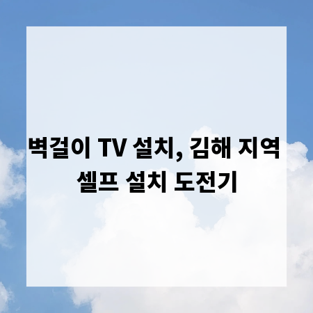 벽걸이 TV 설치, 김해 지역 셀프 설치 도전기