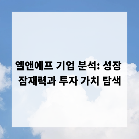 엘앤에프 기업 분석: 성장 잠재력과 투자 가치 탐색