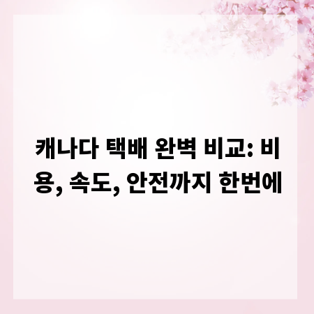 캐나다 택배 완벽 비교: 비용, 속도, 안전까지 한번에
