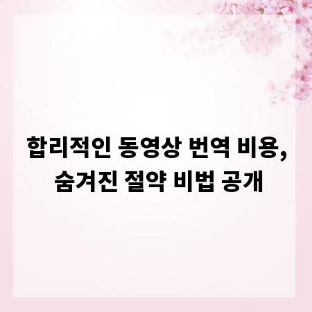 합리적인 동영상 번역 비용, 숨겨진 절약 비법 공개