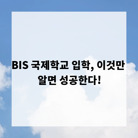 BIS 국제학교 입학, 이것만 알면 성공한다!
