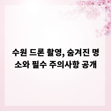 수원 드론 촬영, 숨겨진 명소와 필수 주의사항 공개