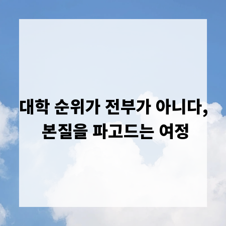 대학 순위가 전부가 아니다, 본질을 파고드는 여정