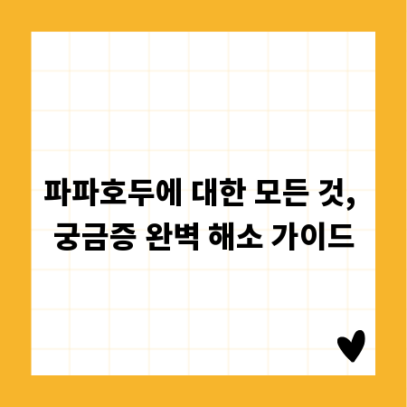 파파호두에 대한 모든 것, 궁금증 완벽 해소 가이드