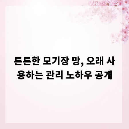 튼튼한 모기장 망, 오래 사용하는 관리 노하우 공개