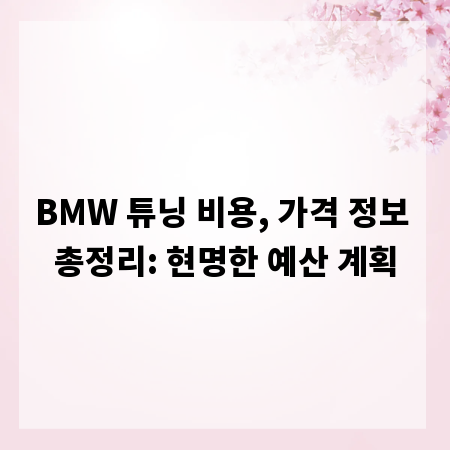 BMW 튜닝 비용, 가격 정보 총정리: 현명한 예산 계획
