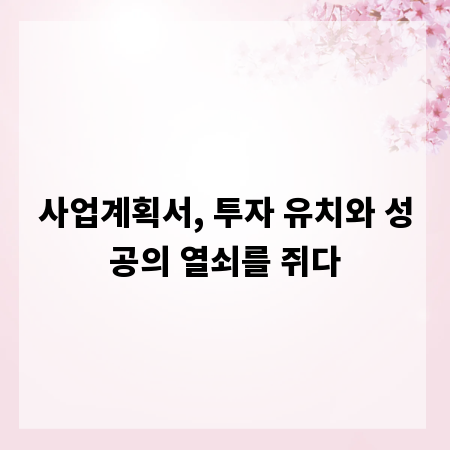 사업계획서, 투자 유치와 성공의 열쇠를 쥐다