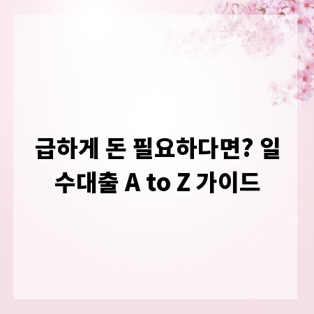 급하게 돈 필요하다면? 일수대출 A to Z 가이드