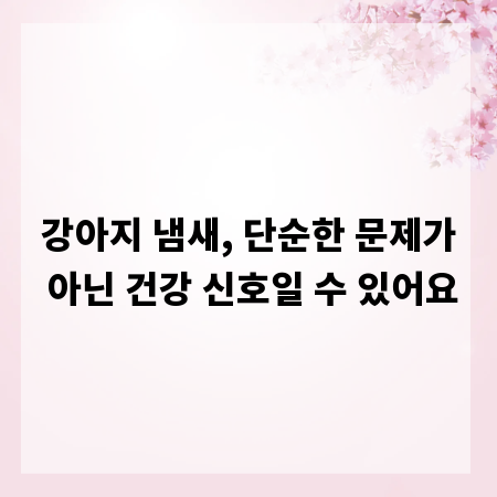 강아지 냄새, 단순한 문제가 아닌 건강 신호일 수 있어요