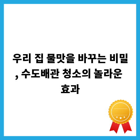 우리 집 물맛을 바꾸는 비밀, 수도배관 청소의 놀라운 효과