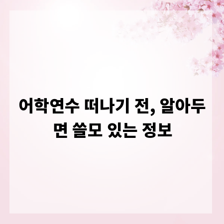 어학연수 떠나기 전, 알아두면 쓸모 있는 정보