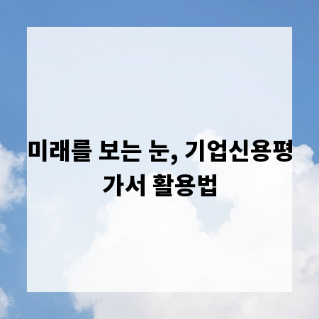 미래를 보는 눈, 기업신용평가서 활용법